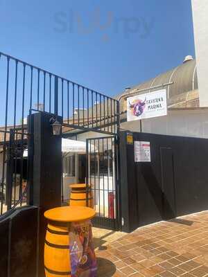 Taverna Marina Brasserie