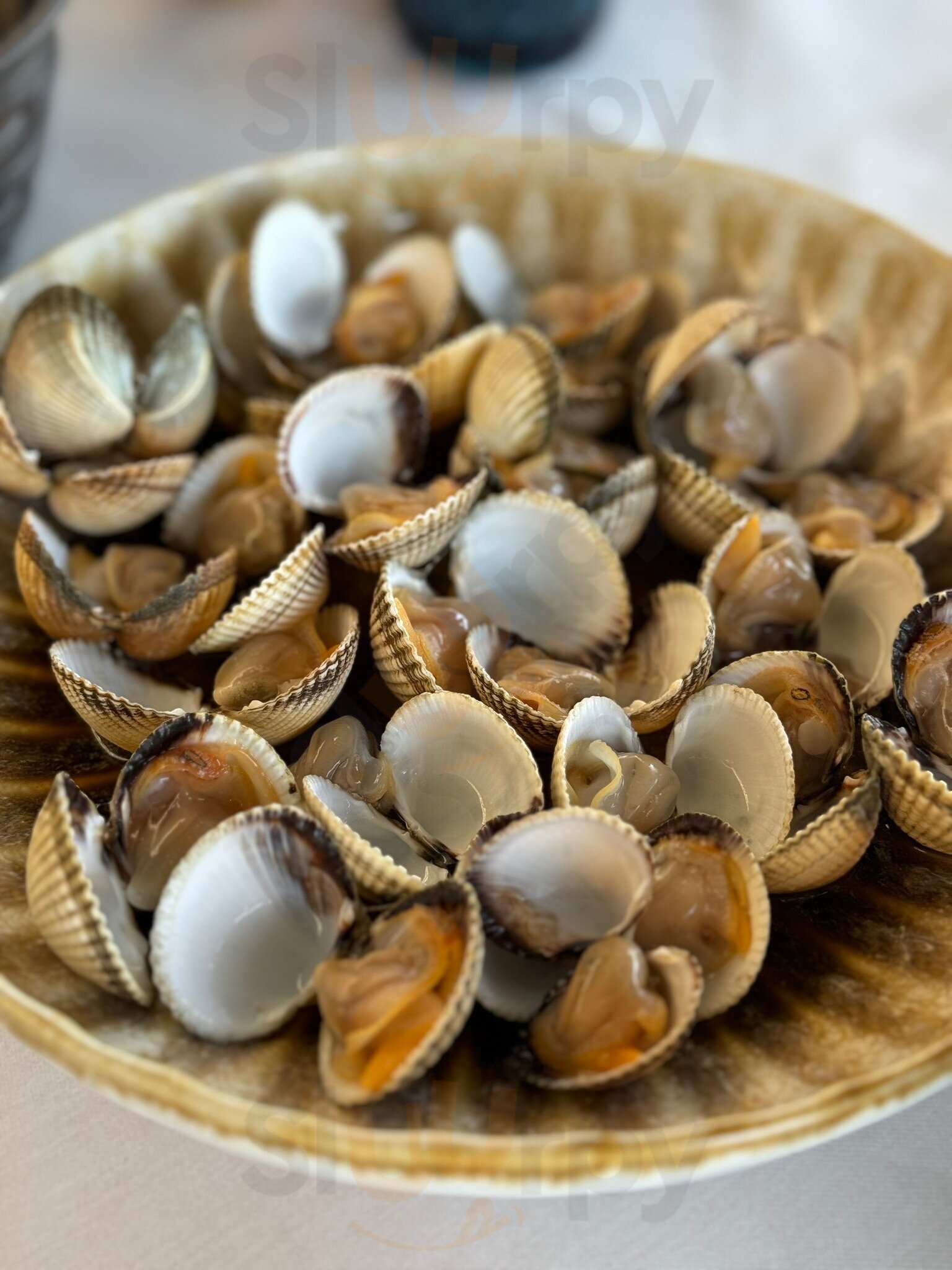 Taberna Mariñeira San Vicente Do Mar