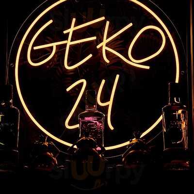 Geko24