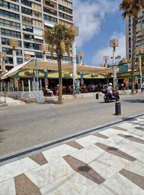 Caiman Baby Snack Bar