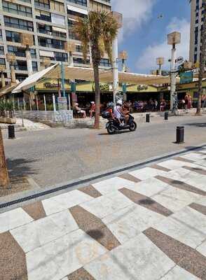 Caiman Baby Snack Bar