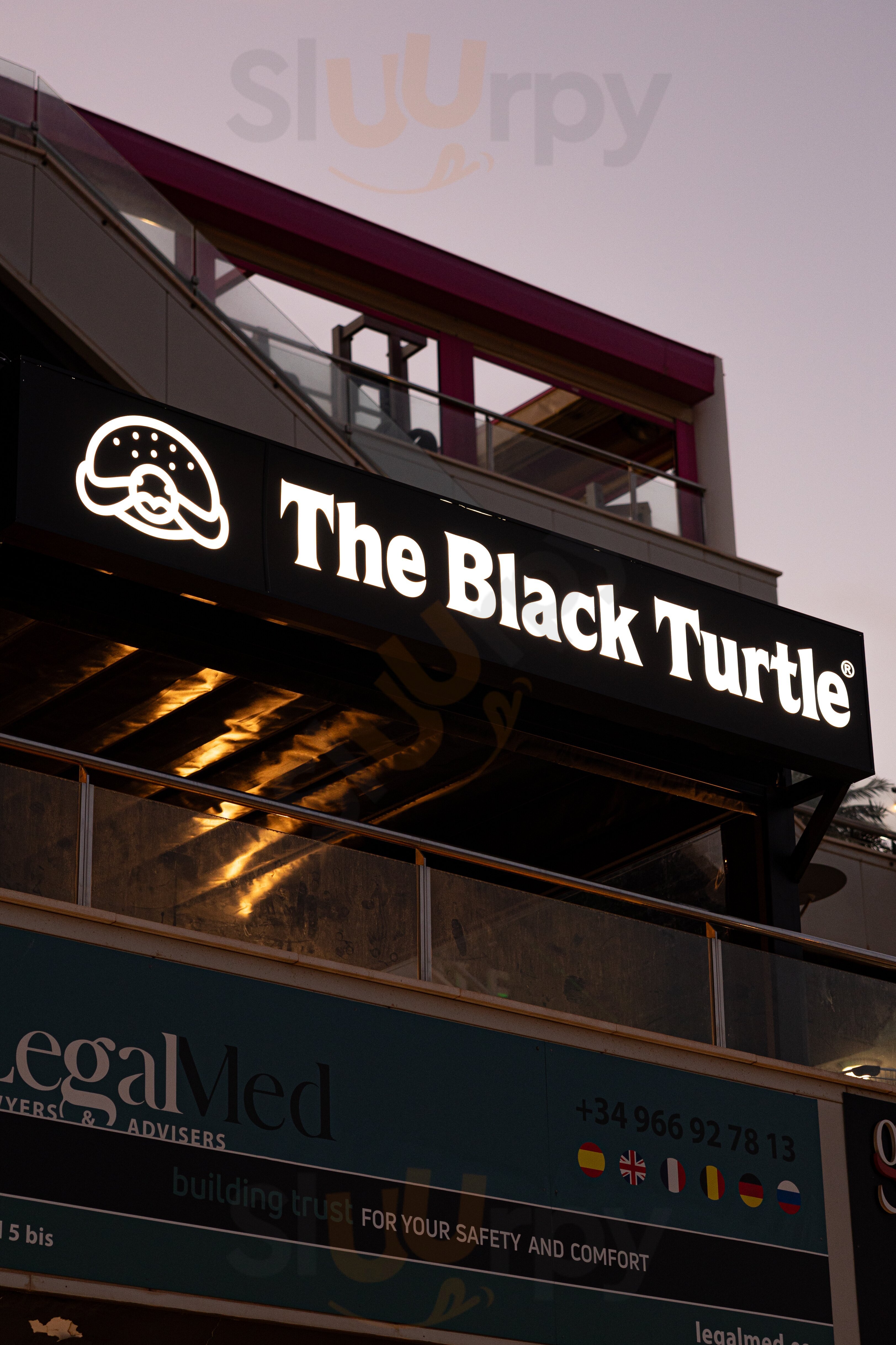 The Black Turtle - Orihuela