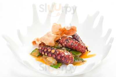 Summum Del Reina Isabel