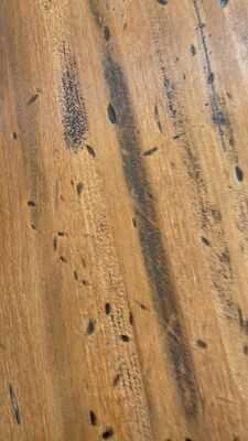 Posidonia Restaurant