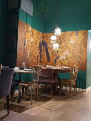 El Papagayo Del Carmen