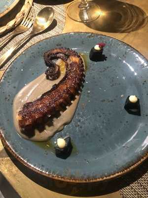 El Papagayo Del Carmen