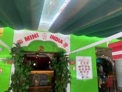 Mini India Elviria