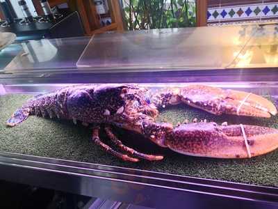 Restaurante Casa Toni