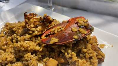 Vinitus Madrid-barcelona