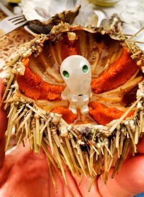 Ostras Pedrin Valencia