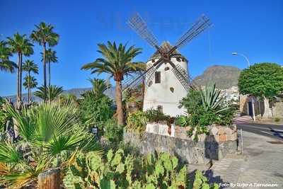 El Molino Blanco - Photo 7