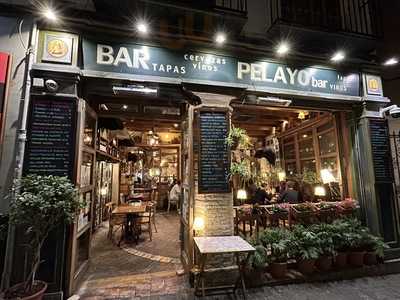Bar Pelayo