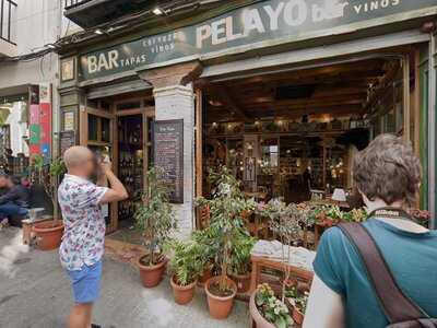 Bar Pelayo
