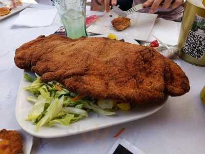 El Caminante Andaluz