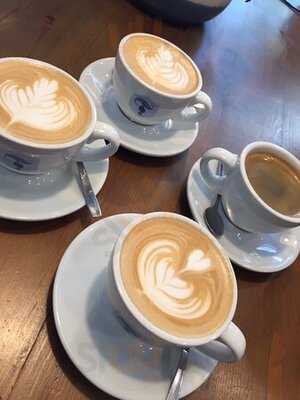 Torch Coffee Roasters