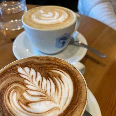 Torch Coffee Roasters