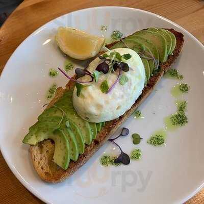 Torch Coffee Roasters