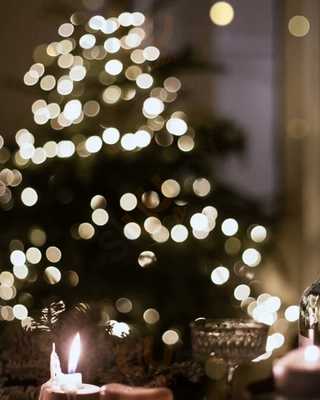 Restaurante Pizzeria Ciao Toto