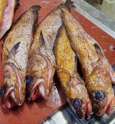 El Padrino Restaurante