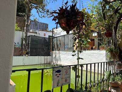 Restaurante Jardines Alberto