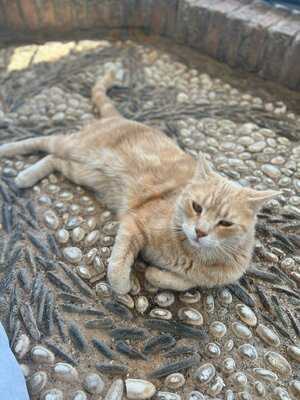 Carmen De San Miguel