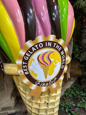 Veneta Gelato Italiano