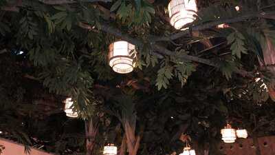 Voltereta, Bienvenido A Casa