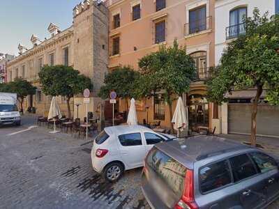 Iguanas Ranas Centro