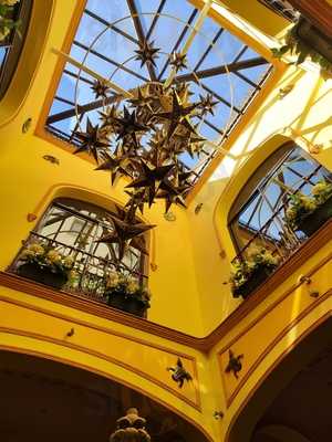 Iguanas Ranas Centro