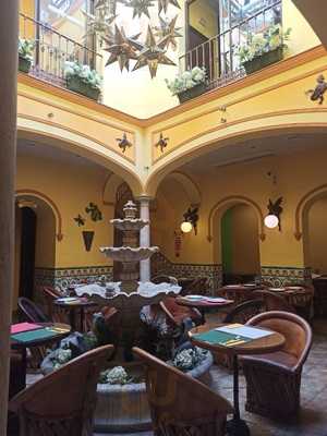 Iguanas Ranas Centro