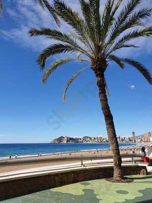 The Coach And Horses