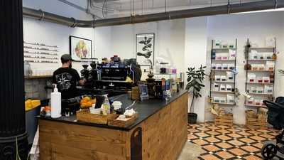 Mistral Coffee Roasters