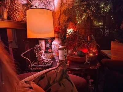 Alexander Cocteleria