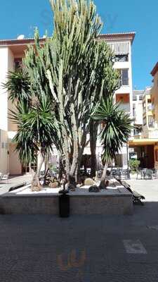 Bar Enzo Restaurante