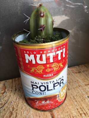 Claro Concept Food Store