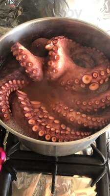 Q Fitness Bar Arroseria