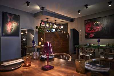 Japo Santa Catalina Adults Only(+9 Years Old)