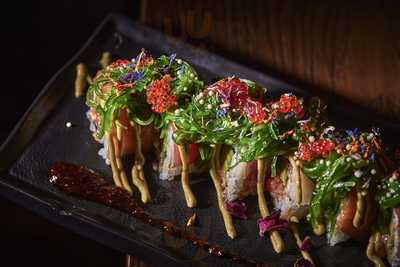 Japo Santa Catalina Adults Only(+9 Years Old)