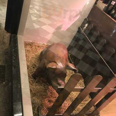 Viandas De Salamanca