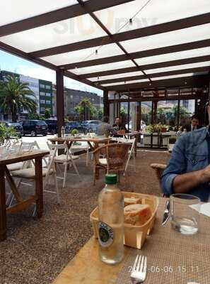 El Gallo De Oro & Varmouth