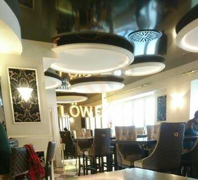 Lion Gastro & Drinks