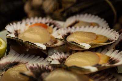 Catedral Del Pescaíto