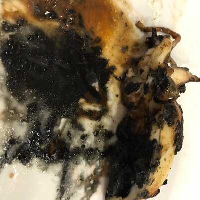 David Abuin Restaurante