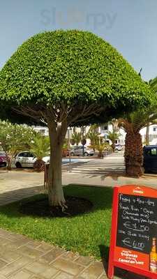 Old English Tea Rooms