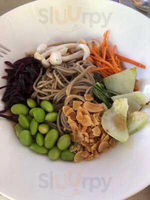 Cottontree Palma By Marion