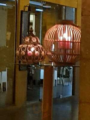 Cottontree Palma By Marion