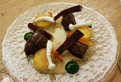 Cottontree Palma By Marion