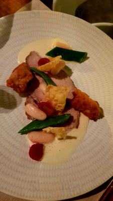 Cottontree Palma By Marion