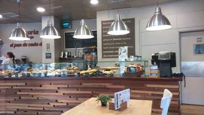 Panaria Plaza España