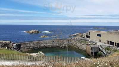 Restaurante Finisterrae Acuario